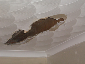 Plastering Artexing Decorating And Ceiling Repairs